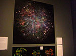 CIMG0928.jpg