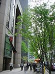 CIMG0935.jpg