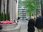 CIMG0937.jpg