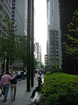 CIMG0939.jpg