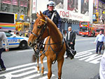 CIMG0959.jpg