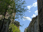 CIMG0964.jpg