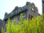 CIMG0969.jpg