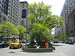 CIMG0970.jpg