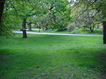 CIMG0985.jpg