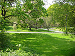 CIMG0987.jpg