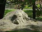 CIMG0990.jpg