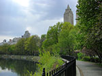 CIMG0992.jpg