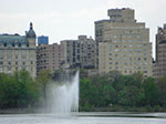 CIMG0996.jpg