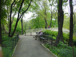 CIMG0999.jpg
