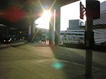CIMG1204.jpg