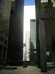 CIMG1388.jpg