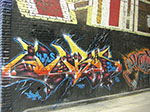 CIMG1739.jpg