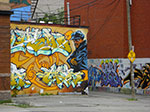 CIMG1749.jpg