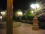 CIMG1820.jpg