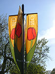 CIMG2014.jpg
