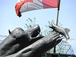 CIMG2115.jpg