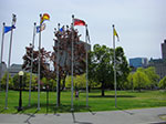 CIMG2125.jpg