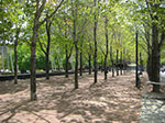 CIMG2220.jpg