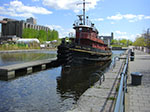 CIMG2273.jpg