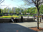 CIMG2343.jpg
