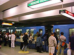 CIMG2388.jpg