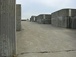 CIMG2448.jpg