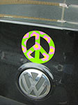 CIMG2881.jpg