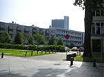 CIMG3384.jpg
