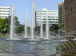 CIMG3436.jpg