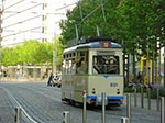 CIMG3448.jpg
