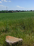CIMG3704.jpg