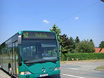 Photos