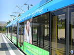 CIMG3708.jpg