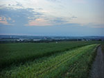 CIMG3766.jpg