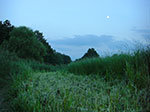 CIMG3780.jpg
