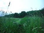 CIMG3782.jpg