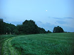 CIMG3783.jpg