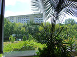 CIMG3880.jpg