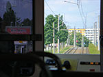 CIMG3891.jpg