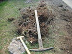 Photos