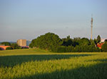 CIMG3945.jpg