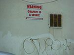CIMG4412.jpg