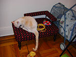CIMG4770.jpg