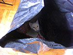 CIMG5075.jpg