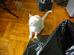 CIMG5077.jpg
