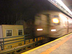 CIMG5311.jpg