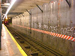 CIMG5315.jpg