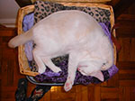 CIMG5792.jpg