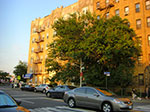 CIMG5867.jpg